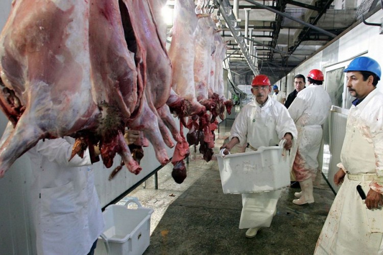 BiH pred uvođenjem zaštitnih mjera na uvoz mesa