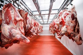 Košarac predložio prelevmane na uvoz mesa