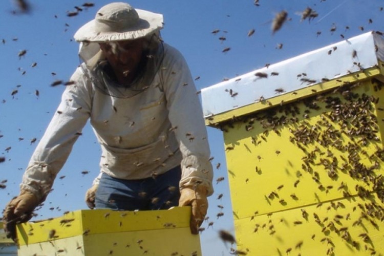 U Bijeljini obuka za pčelare