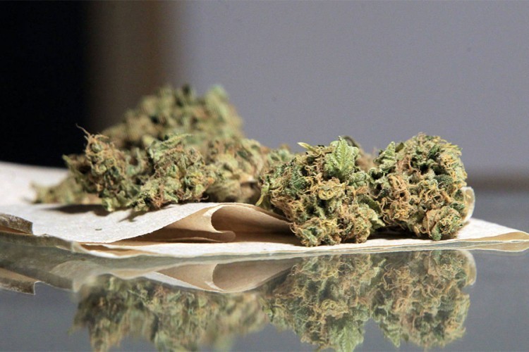 Zaplijenjeno 880 grama marihuane