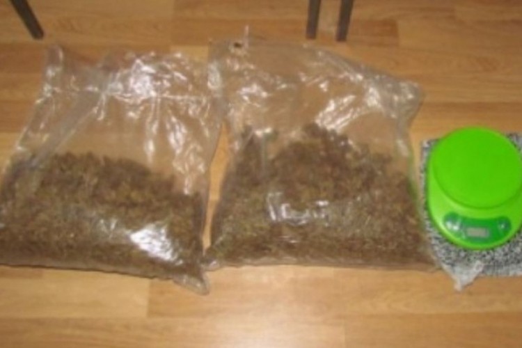 Oduzeto 35 kilograma marihuane