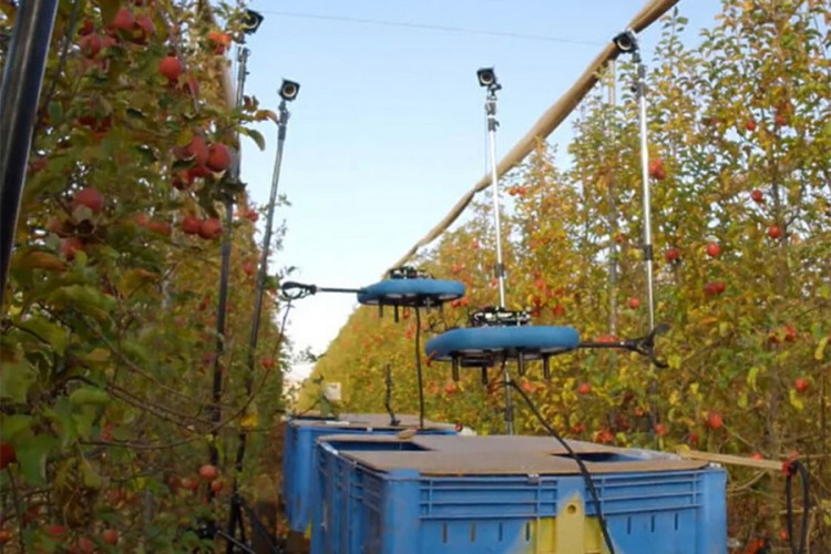 Leteći robot otkriva i bere zrelo voće