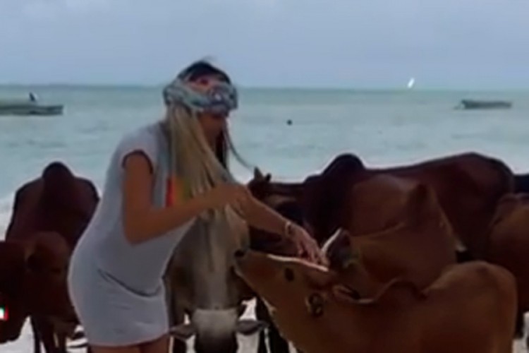 Pjevačicu "Zvezda Granda" udarila krava na plaži
