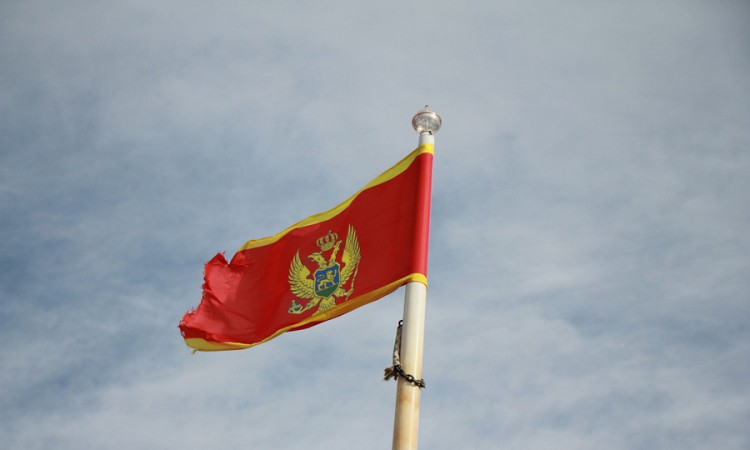 Policija objavila koliko je kriminal koštao Crnu Goru