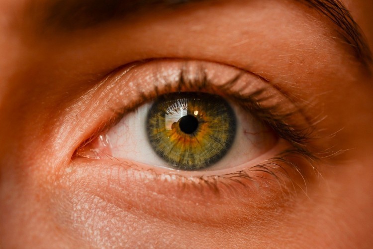 Oči mogu pokazati rane znakove Alzheimerove i Parkinsonove bolesti