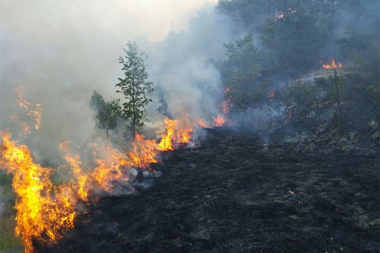 U požaru u Foči izgorjela vikendica i pomoćni objekat
