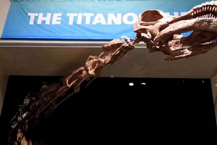 Otkriven fosil najstarijeg dinosaurusa