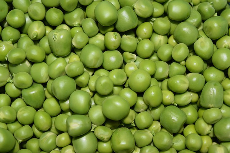 Zabranjen uvoz 1.000 kilograma sjemena graška u Srpsku