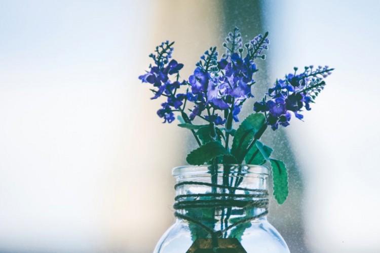 Zadržite svježinu proljećnog cvijeća u vazi