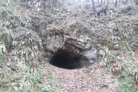 Prirodni fenomen kod Sanskog Mosta Fajtovačka pećina dom šišmiša