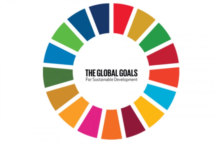 U funkciji portal SDG indikatora