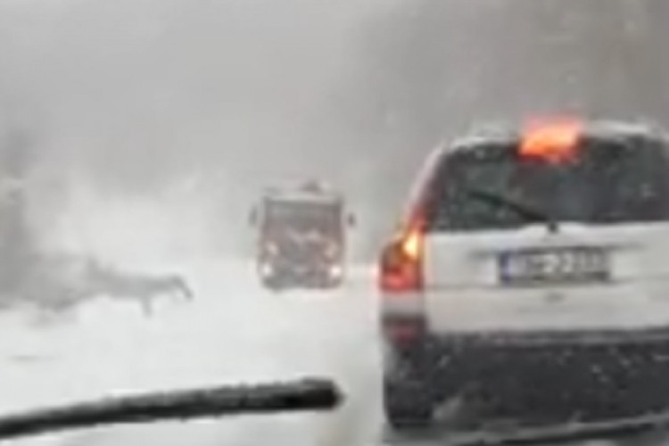 Snijeg otežava saobraćaj u BiH, neki putni pravci obustavljeni za kamione