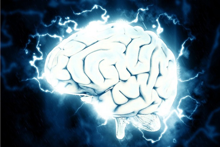 Naučnici: Mozak modernog čovjeka razvio se kasnije nego što se misli