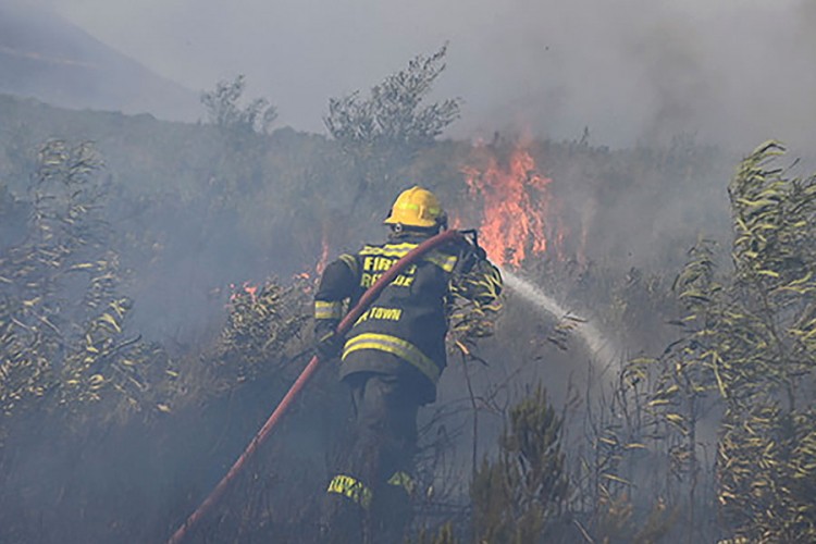Stanovnici i studenti evakuisani zbog požara u Kejptaunu
