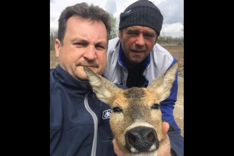 Lovci spasili srnu od utapanja u Drini