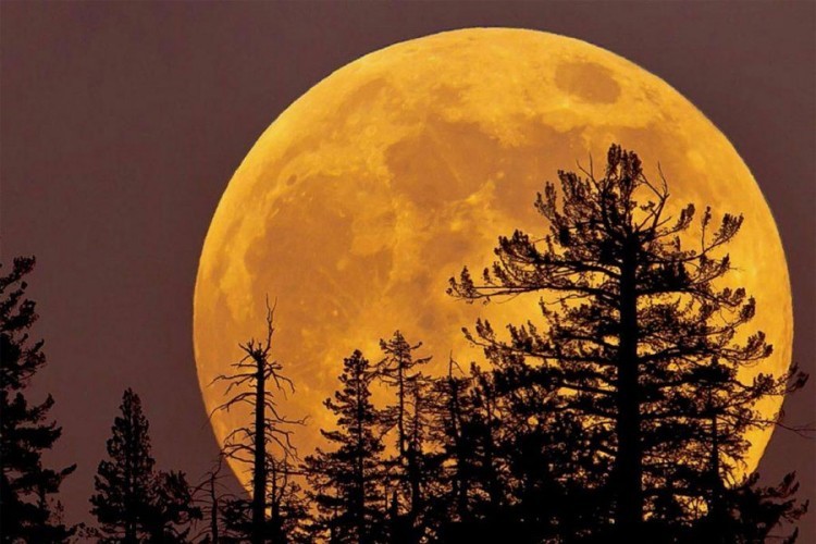 "Super-Mjesec" viđen širom svijeta