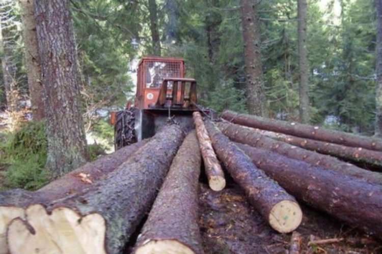 Oštetili Šume Srpske za milion KM