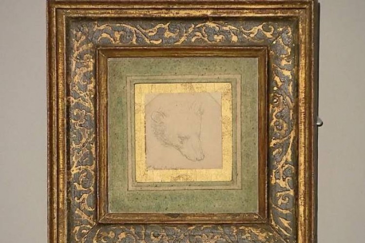 Da Vinčijev crtež "Glava medvjeda" na aukciji