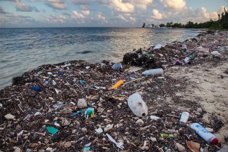 Studija: Dvadeset firmi proizvodi 55 odsto svjetskog plastičnog otpada