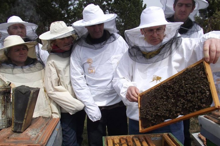Pčelari USK traže pomoć: Prinosi meda mogli bi biti manji i za 80 odsto
