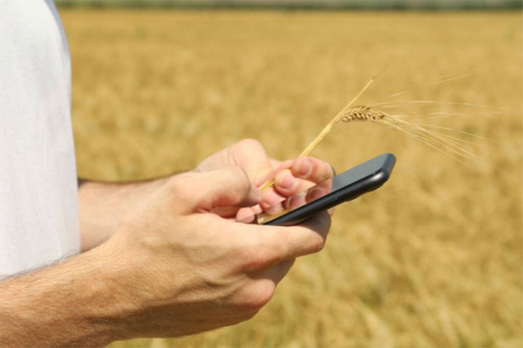 Digitalne inovacije stigle u trebinjsku poljoprivredu: Klikom kontrolišu njive