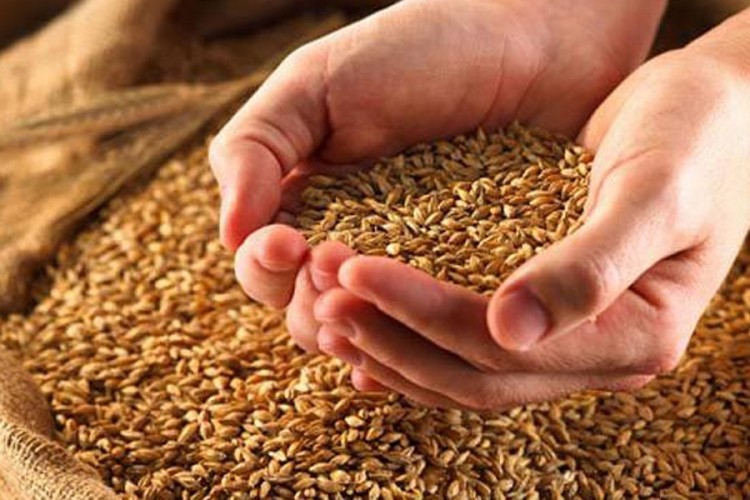 Agroanalitičar savjetuje ratarima da ne prodaju pšenicu odmah