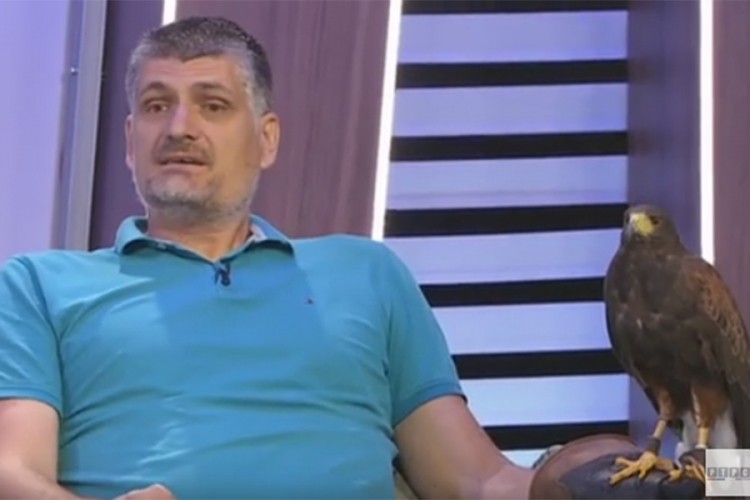 Bivši košarkaš Borca Zoran Ćurguz uzgaja sokole