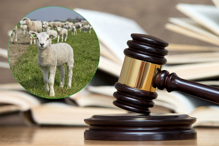 Presuda u Doboju: Jagnjad poslala lažnog mesara dvije godine u zatvor