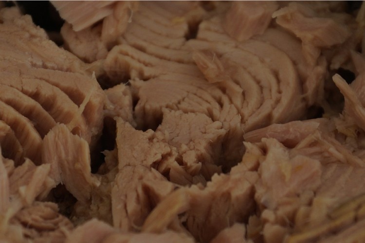 U sendviču od tunjevine naučnici nisu uspjeli da otkriju DNK tune