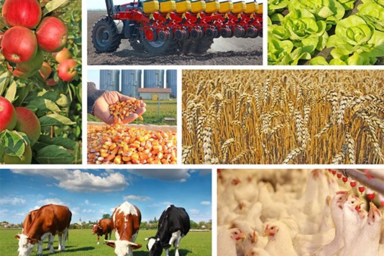 Poziv poljoprivrednim proizvođačima da se prijave za podsticaje