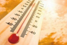 Vise od 100 mrtvih od vrućina u Sjevernoj Americi