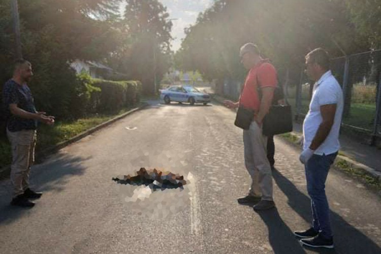 Ubijen vlasnički pas u banjalučkom naselju Lazarevo, ostali štenci