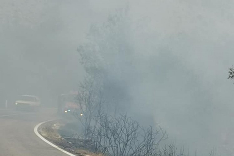 Požar kod Nikšića, u gašenju pomažu i trebinjski vatrogasci