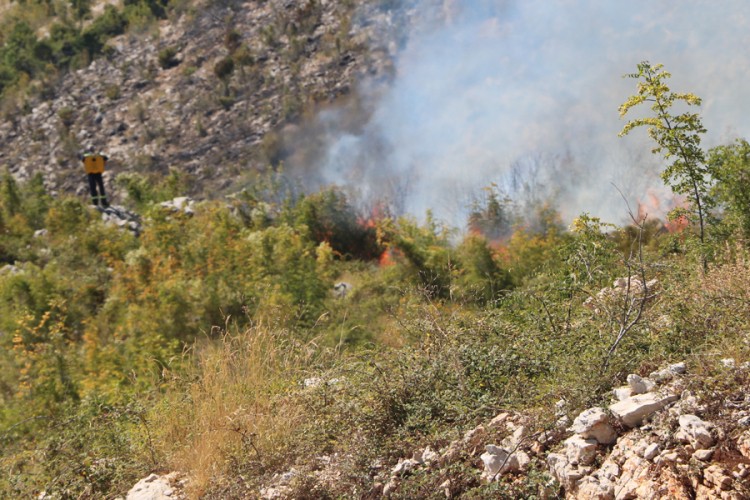 Lastvanski vatrogasci spasili kuće u crnogorskom selu