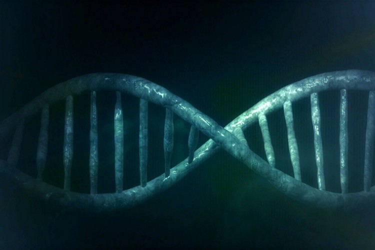 Naučnici otkrili misteriozni DNK koji sadrži gene drugih organizama