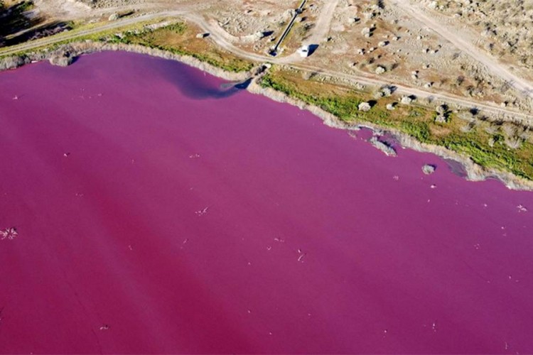 Laguna u Argentini promijenila boju