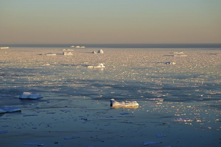 Za jedan dan Grenland izgubio leda s topljenjem dovoljnim da pokrije Floridu
