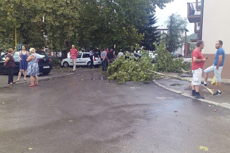 Nevrijeme u Milićima: Jak vjetar i kiša rušili stabla, iščupali dimnjak