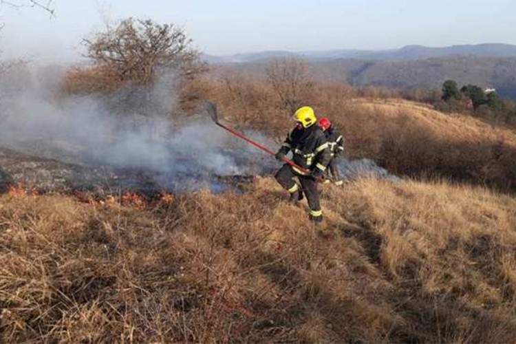 Brzo ugašen požar na Fruškoj Gori