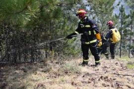 Lokalizovan požar na Mokroj Gori