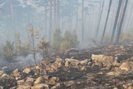 Od požara najugroženiji Nikšić, Cetinje i region Tare