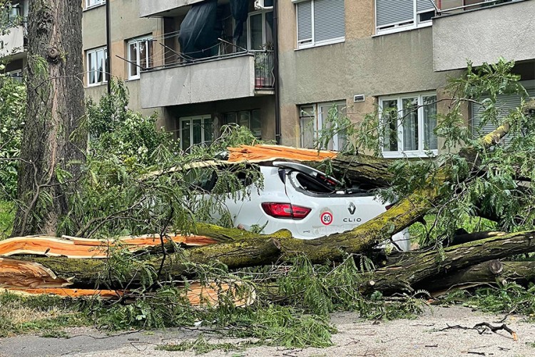 Nevrijeme i u Bihaću: Vjetar lomio drveće, stradali krovovi