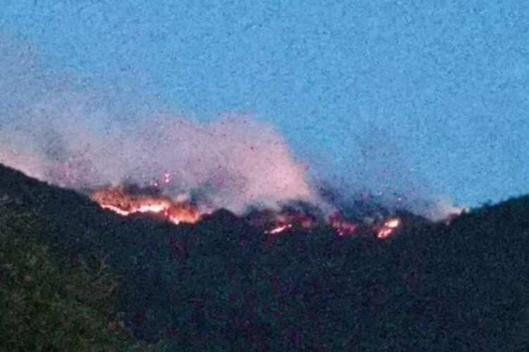Požar na Mokroj Gori guta 100 hektara, poslate dodatne snage