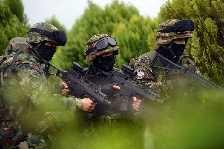 Vojnici Srbije zatekli šumokradice na djelu, oni pustili pse na njih i zapucali