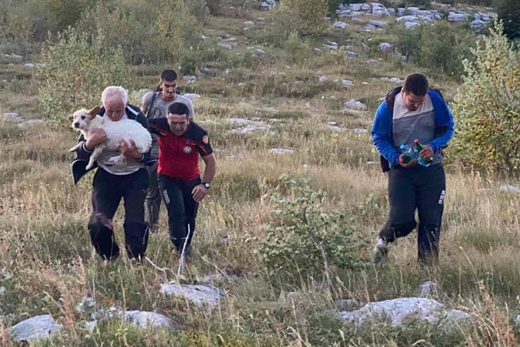 Spaseno pet osoba na planini Njegoš nestalih usljed požara