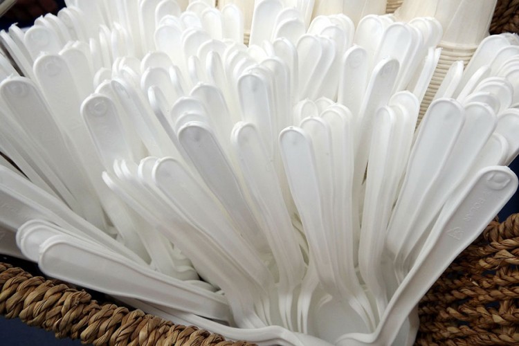 Slovenija zabranila upotrebu jednokratnih plastičnih proizvoda