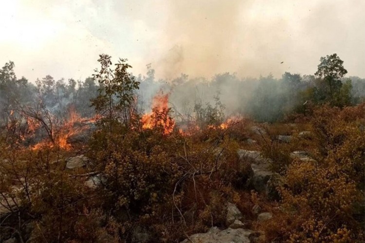 Požari na području Gacka i Bileće ne prijete kućama
