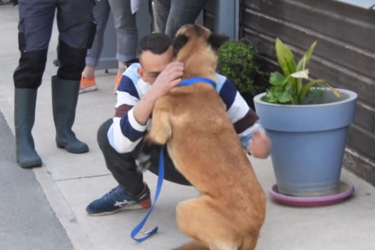 Pogledajte reakciju psa koji je vraćen vlasniku nakon osam mjeseci