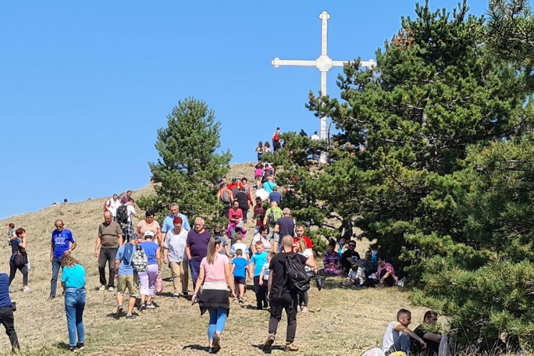 Stotinu građana učestvovalo danas u branju trave ive na Ozrenu