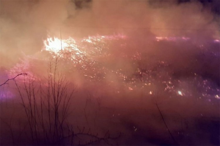 Požar kod Ahatovića, vatrogasci na terenu